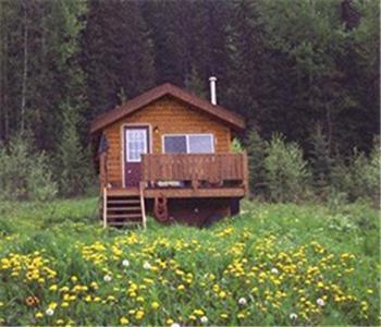Bear Corner Adventures Bed & Bale Hotel Golden Kültér fotó